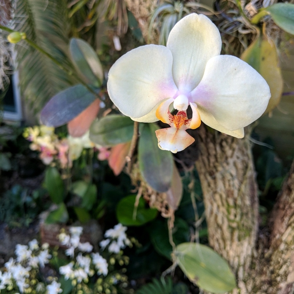 Meet your Posher, Marie